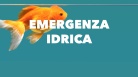 SPOT : Emergenza idrica in regione. Delle cose essenziali ti accorgi quando mancano.